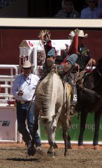 Calgary Stampede-1529